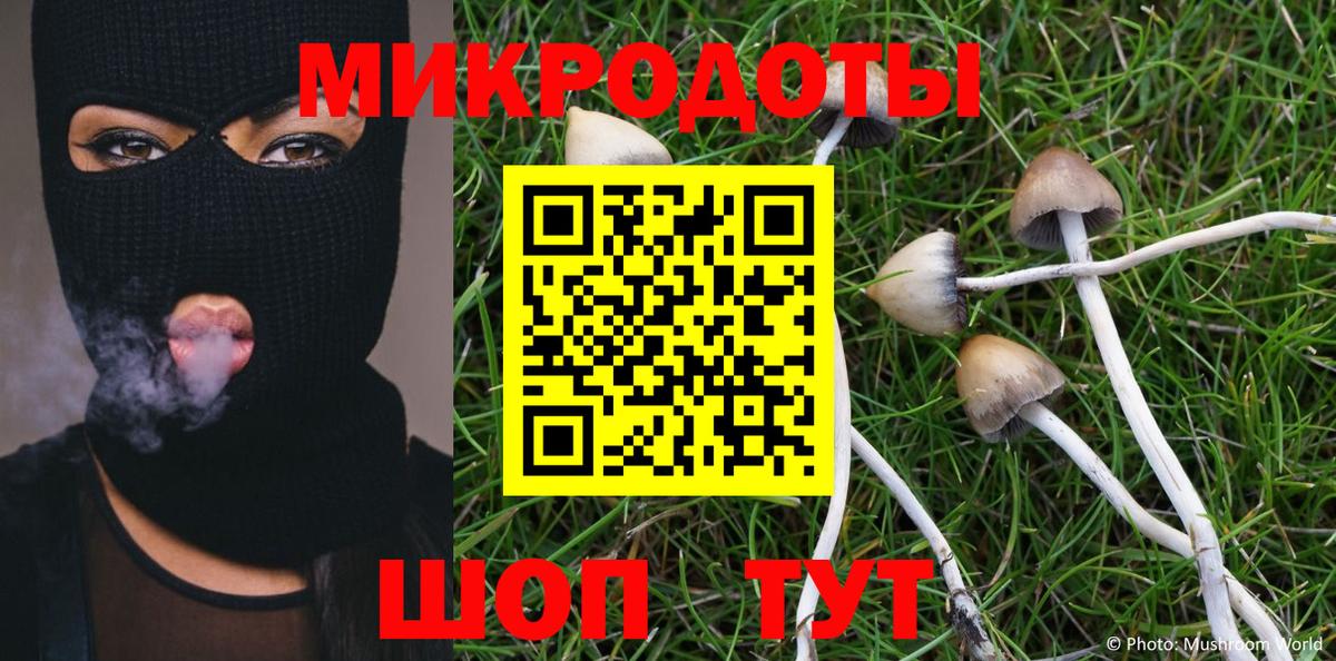Галлюциногенные грибы мицелий Обь