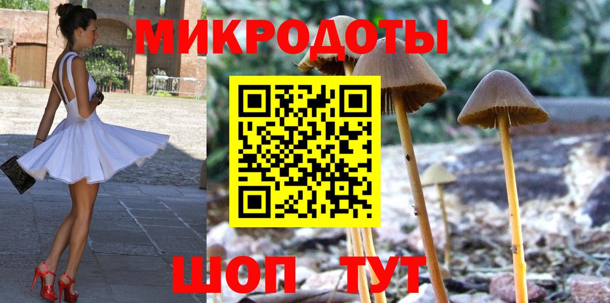 Галлюциногенные грибы Psilocybe  как найти наркотики  Вход с VPN  Обь  Галлюциногенные грибы прущие грибы 