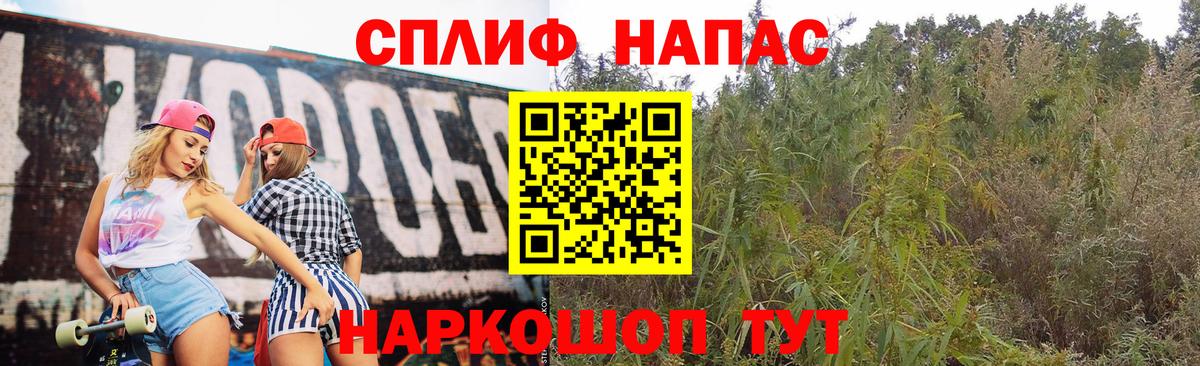 Канабис планчик  Бошки марихуана гибрид  Вход с VPN  Конопля MAZAR  Обь 